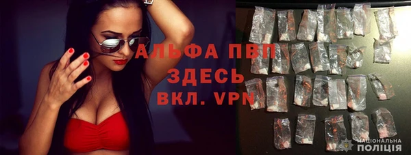 ECSTASY Мегион