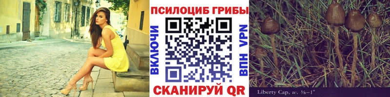 Псилоцибиновые грибы прущие грибы  Купить где  Бородино 